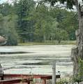 8 Maple Root Road - Photo 2