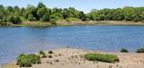 82 Beach Point Drive - Photo 43