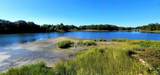 82 Beach Point Drive - Photo 47