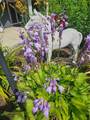 7 Taylor Road - Photo 46
