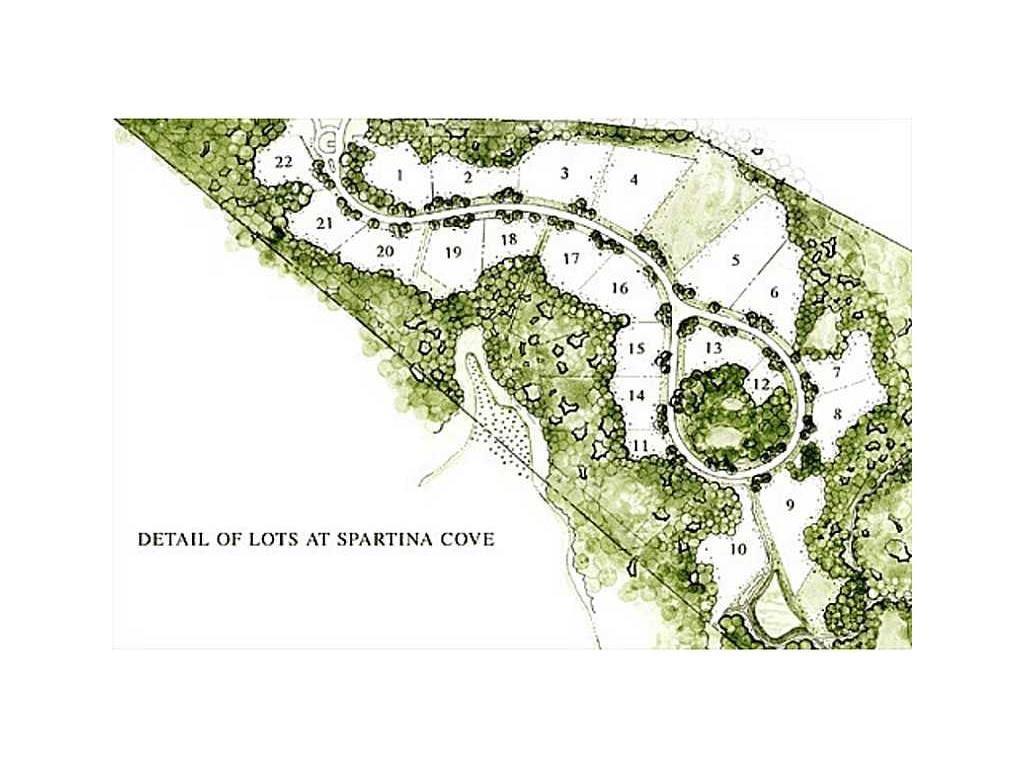 0 Spartina Cove Way - Photo 1