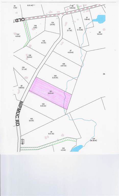 10 & 11 - POLE NIPMUC RD - Photo 1