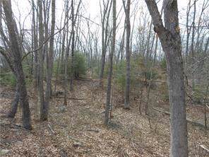 0 Matteson Road - Photo 1