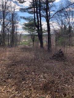 268 Greenville Rd - Photo 1