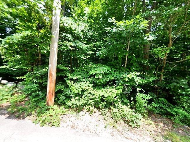 0 Twin Brook Lane - Photo 1
