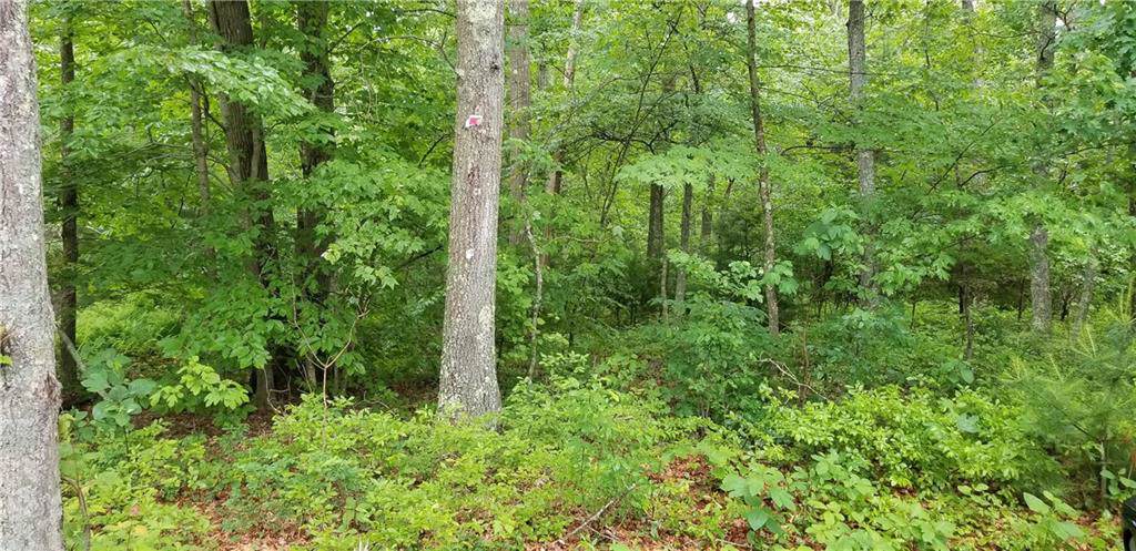 406 Weaver Hill Road - Photo 1