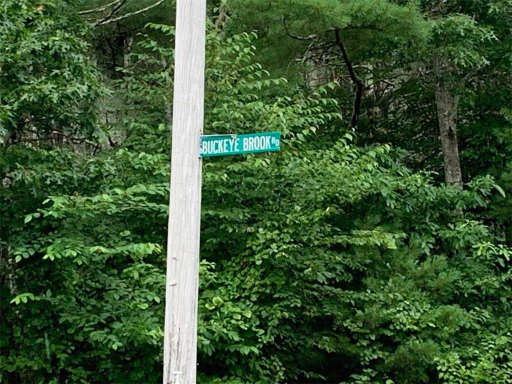 0 Buckeye Brook Rd - Photo 1