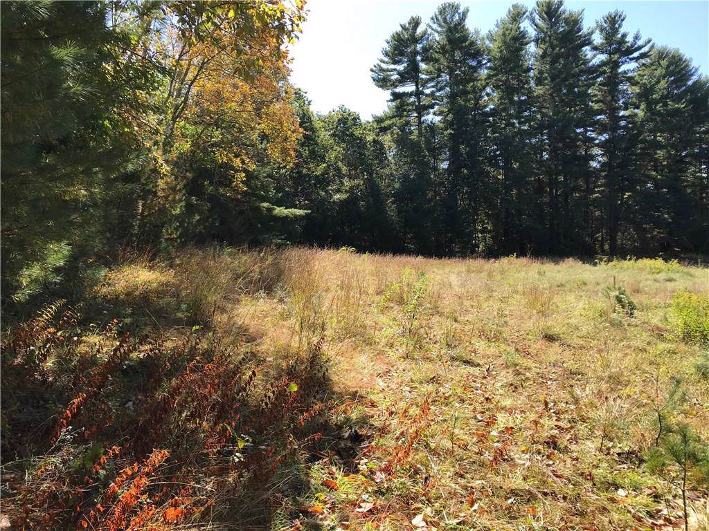 0 Whaley Hollow Road - Photo 1
