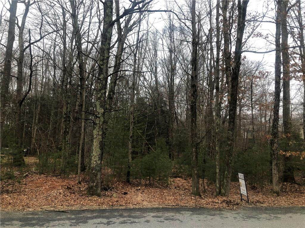 0 Stag Head Drive - Photo 1