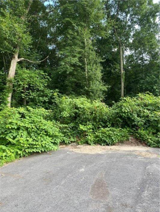 0 Hunters Road - Photo 1
