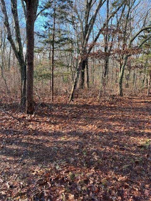 0 Watchaug Lane - Photo 1