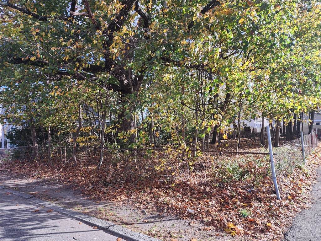 0 Chaplin Street - Photo 1