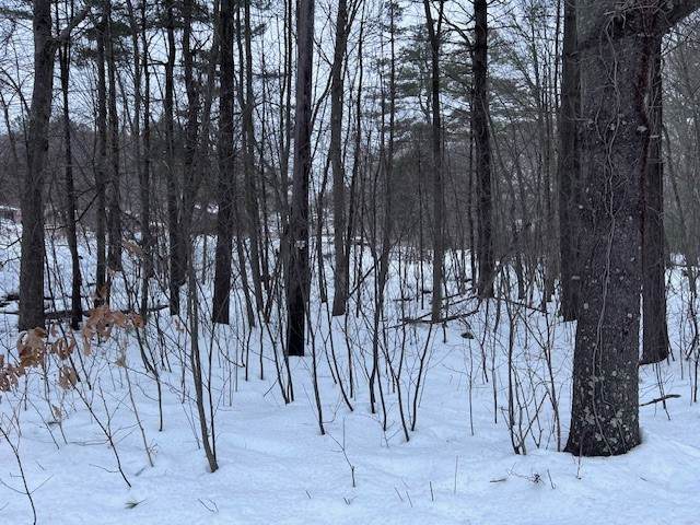 0 Wallum Lake Road - Photo 1