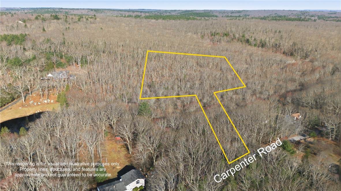 0 Carpenter Road - Photo 1