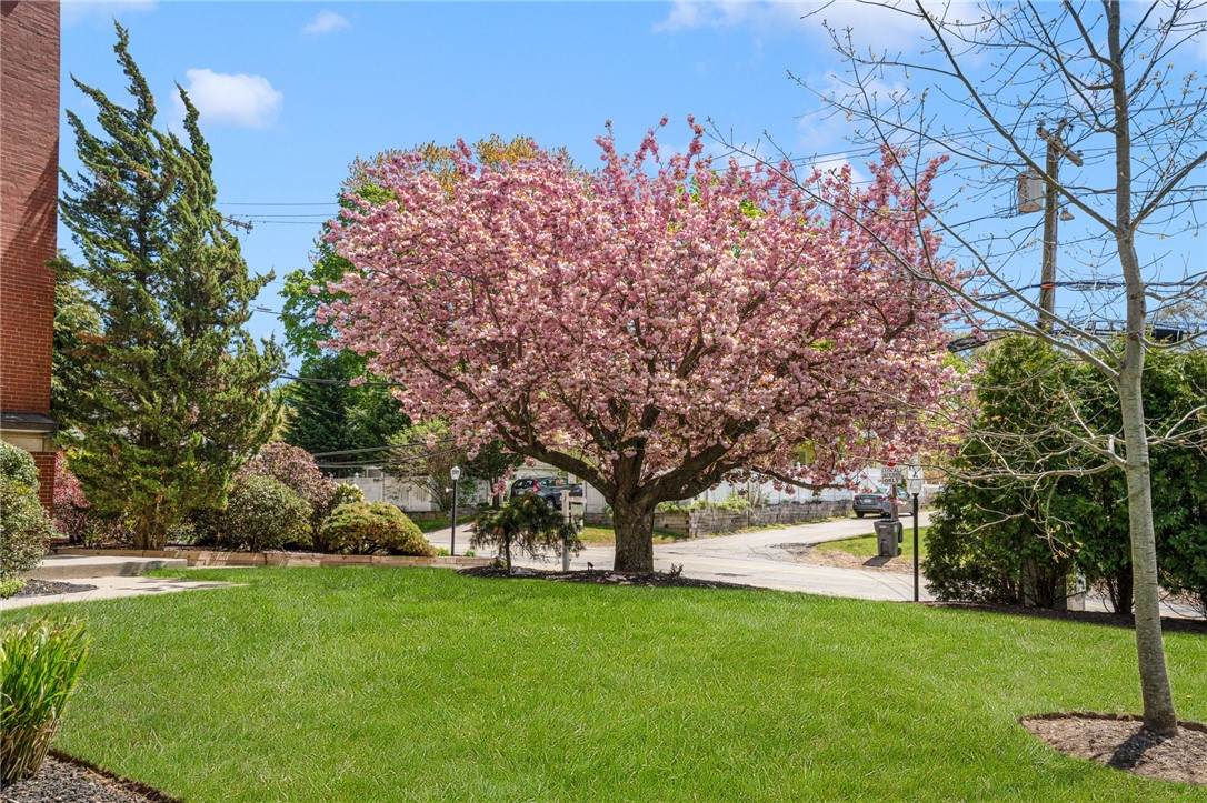 https://bt-photos.global.ssl.fastly.net/rhodeisland/orig_boomver_1_1410952-2.jpg