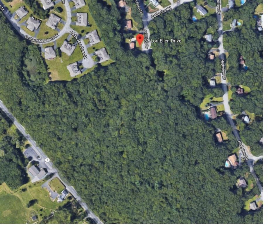 33 Lori Ellen Dr - Photo 1