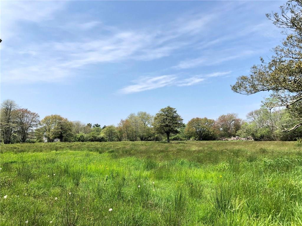 6 Marsh Peeper Lane - Photo 1