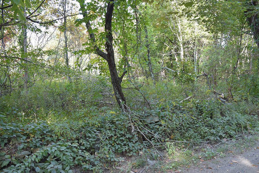0 Mill Road - Photo 1