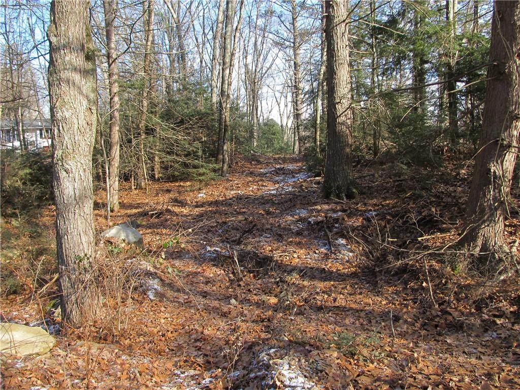 285 Log Road - Photo 1