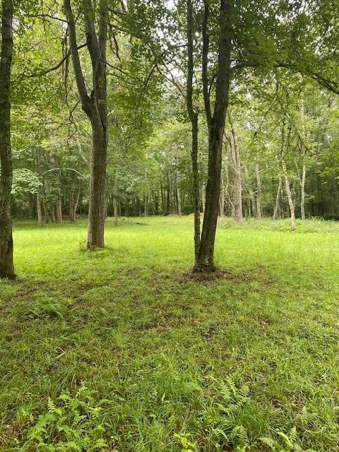 505 Long Highway - Photo 1