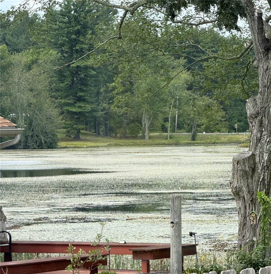 https://bt-photos.global.ssl.fastly.net/rhodeisland/orig_boomver_2_1421309-2.jpg