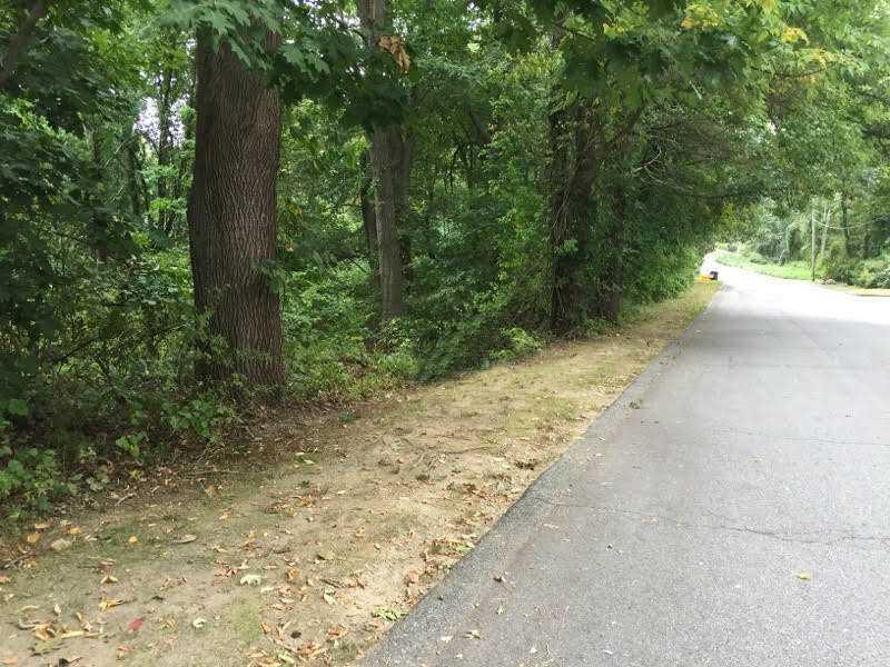 0 Lot 238 Major Potter Rd - Photo 1
