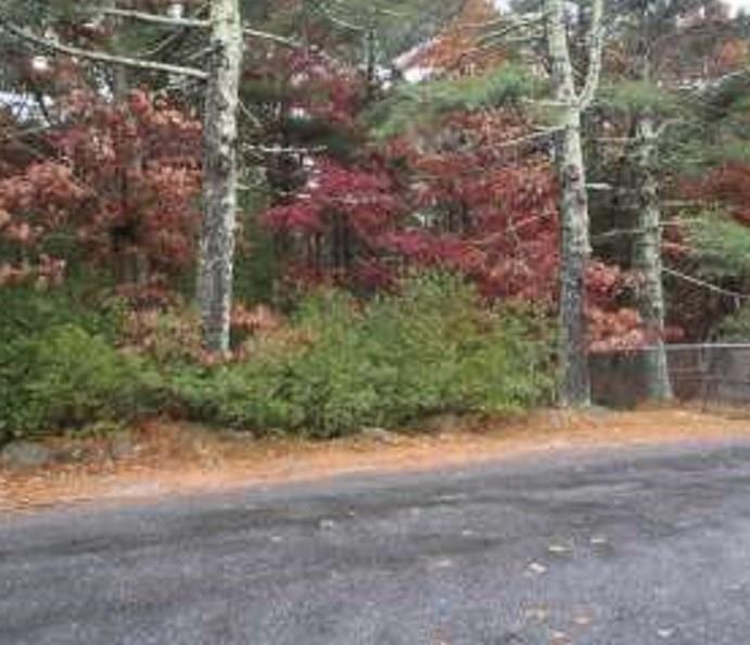00 Ross Hill Rd - Photo 1