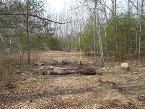 0 - Lot F Matteson Rd - Photo 1