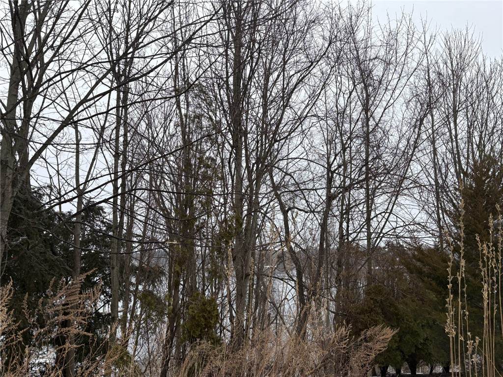 351 County Road - Photo 1