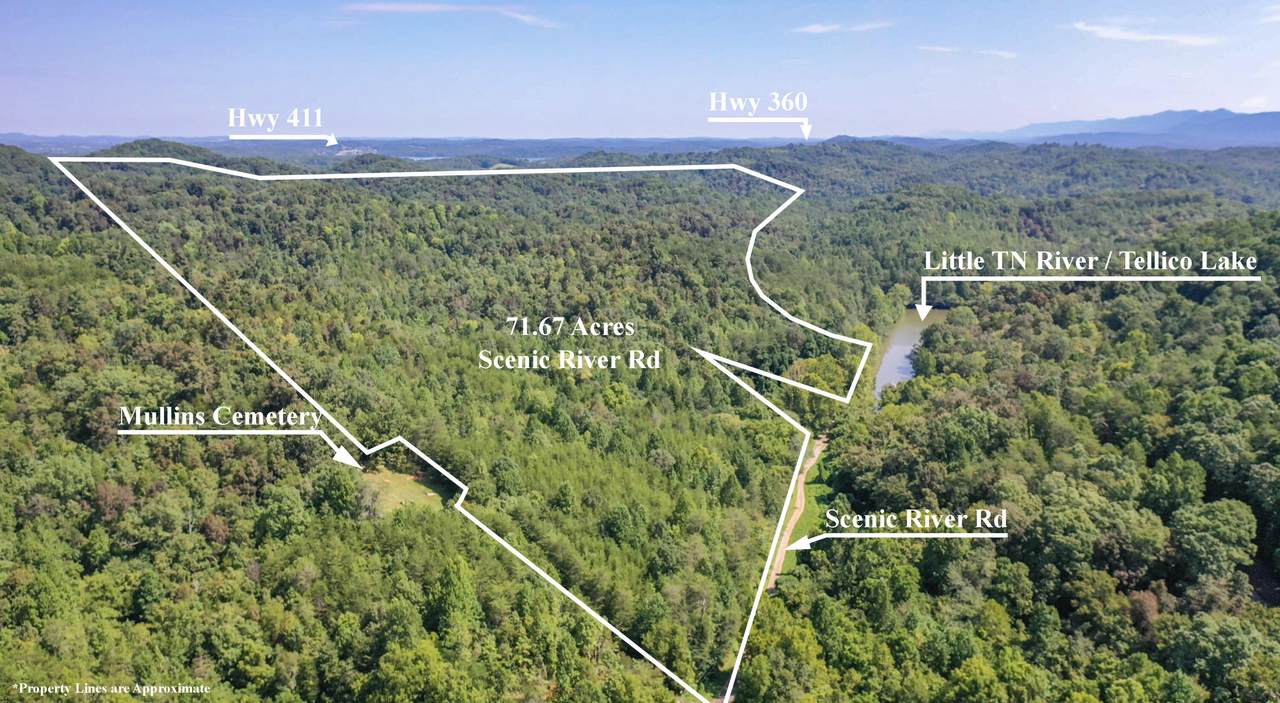 1125 Scenic River Road 71.67 Acres - Photo 1