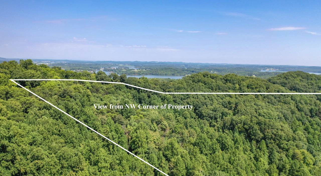 https://bt-photos.global.ssl.fastly.net/rivercounties/1280_boomver_1_20240483-2.jpg