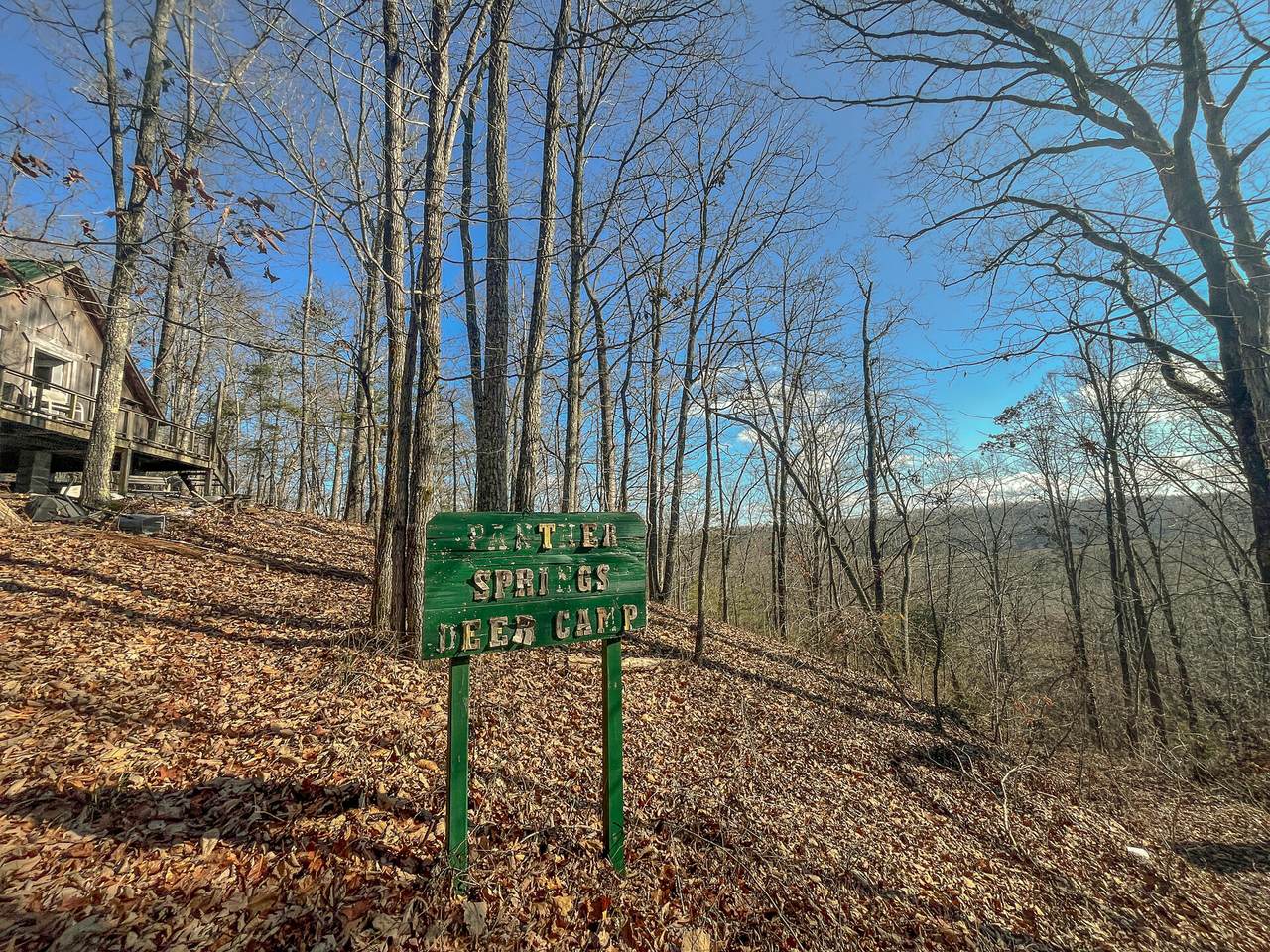 0 Proffitt Lane - Photo 1