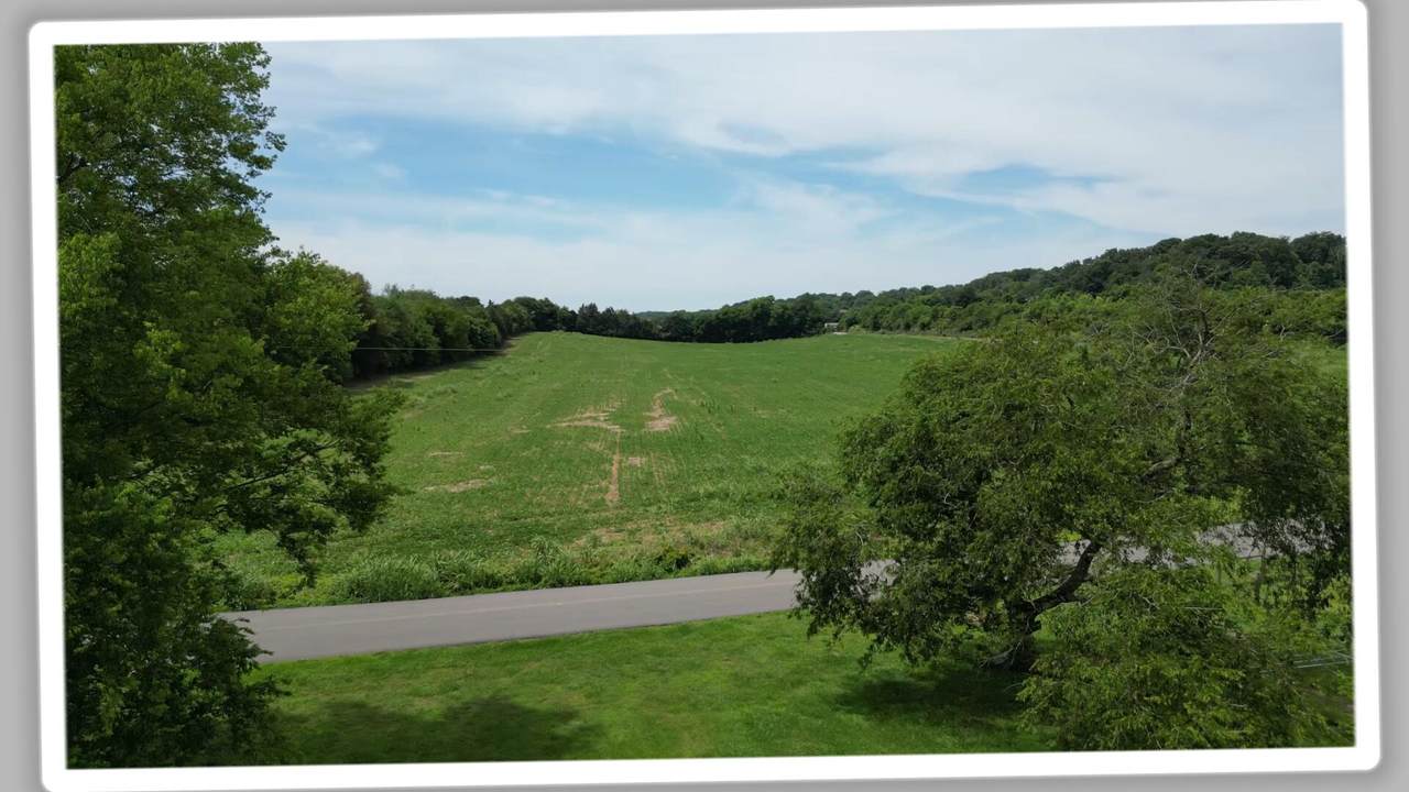 0 Sheffey Lane - Photo 1