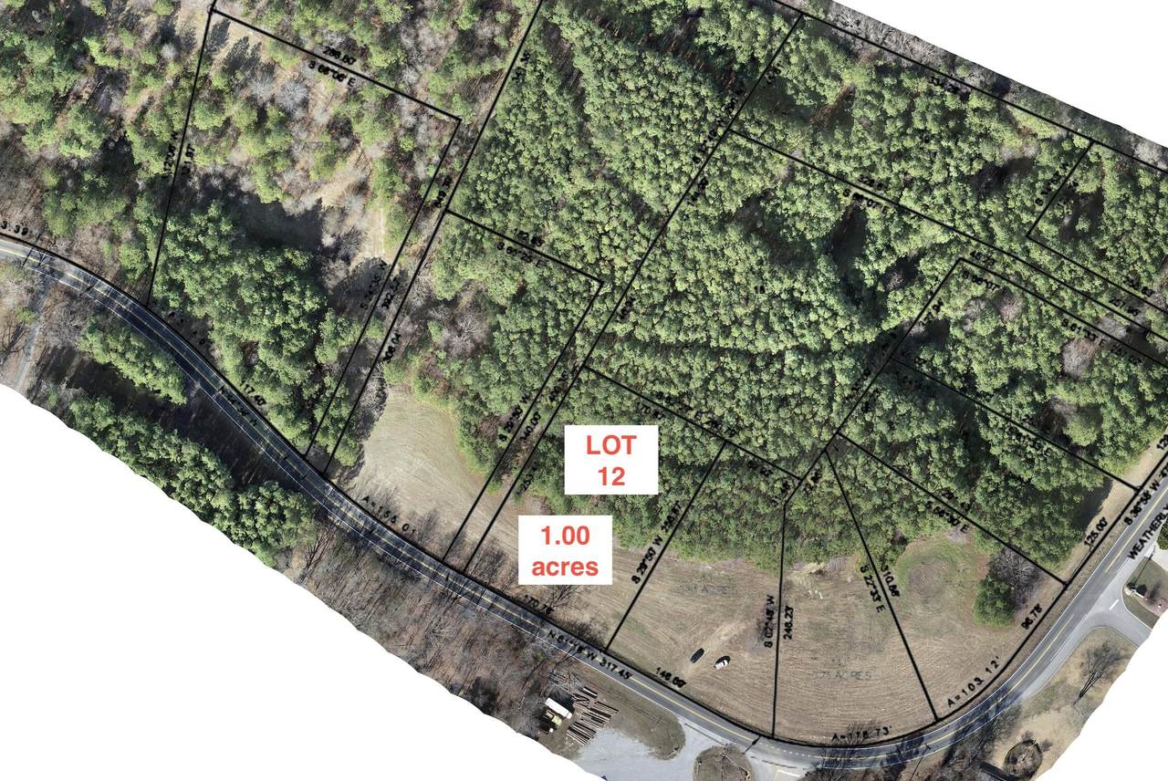 Lot 12 Weatherly Switch Trail - Photo 1