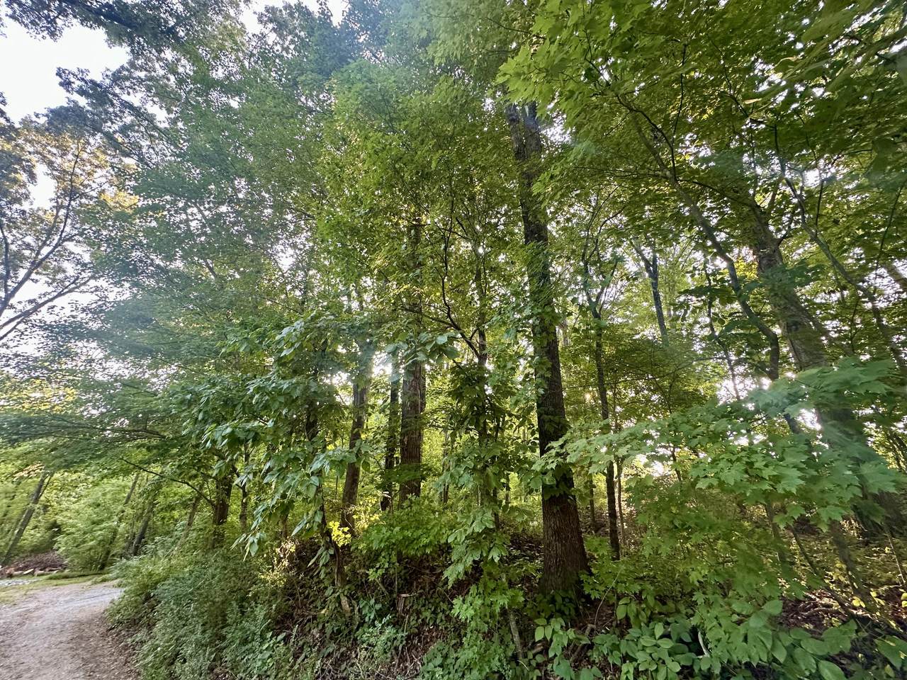 1ac Reed Strickland Lane - Photo 1