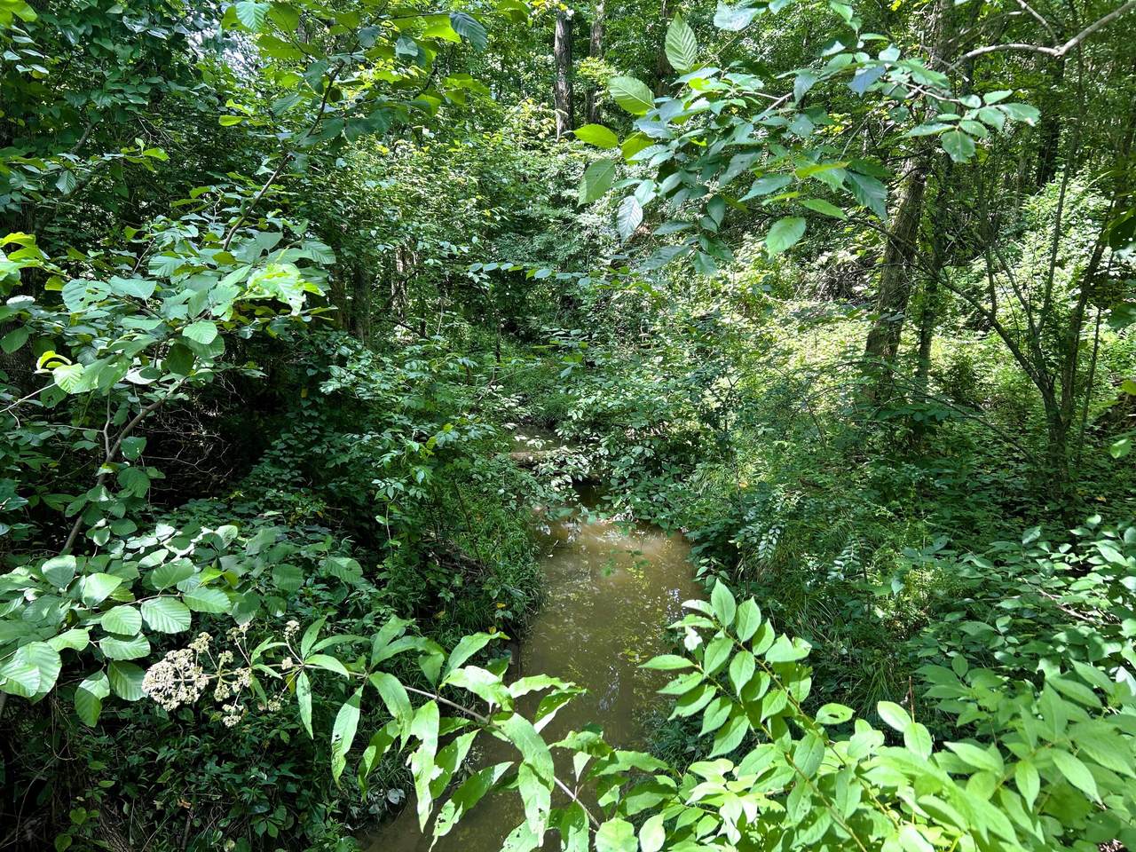15/16 Hughes Lake Road - Photo 1