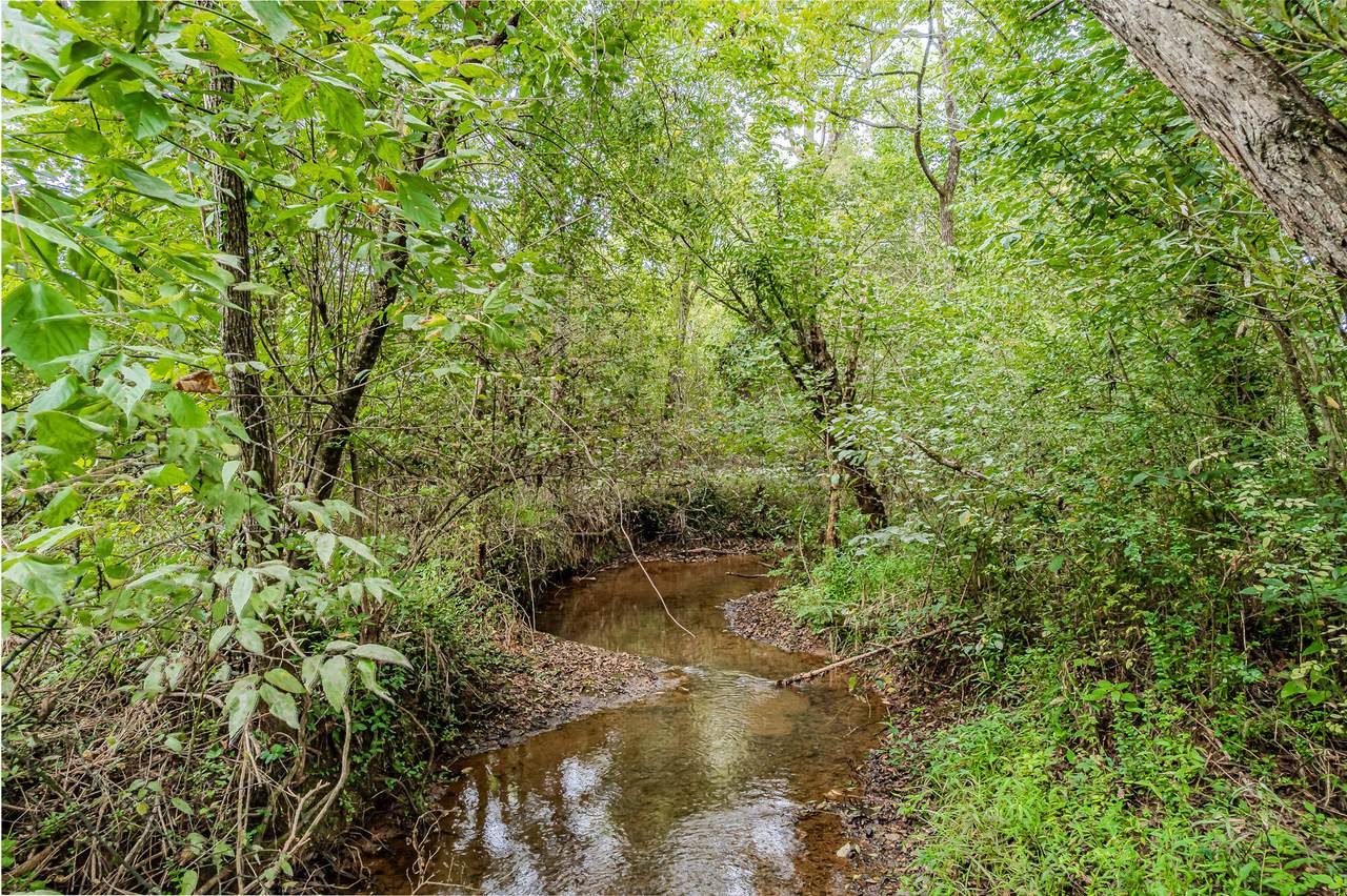 https://bt-photos.global.ssl.fastly.net/rivercounties/1280_boomver_1_20244089-2.jpg