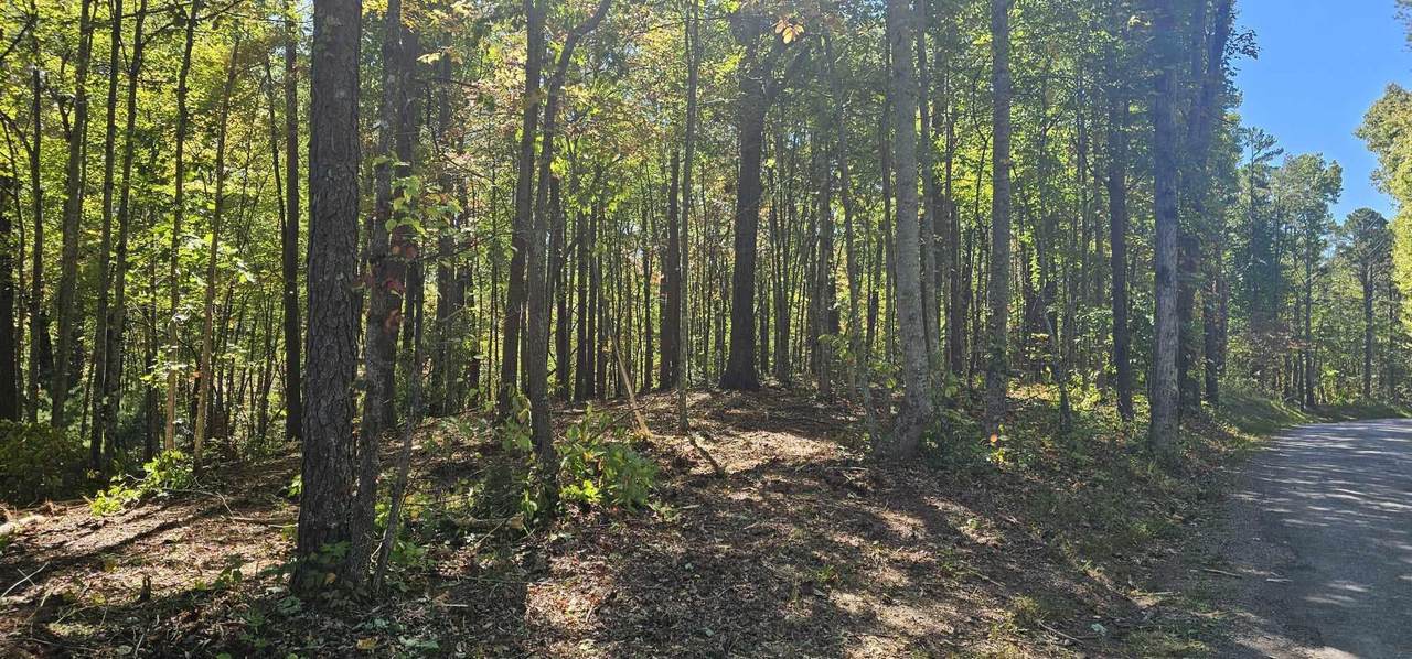 208 Old Furnace Road - Photo 1