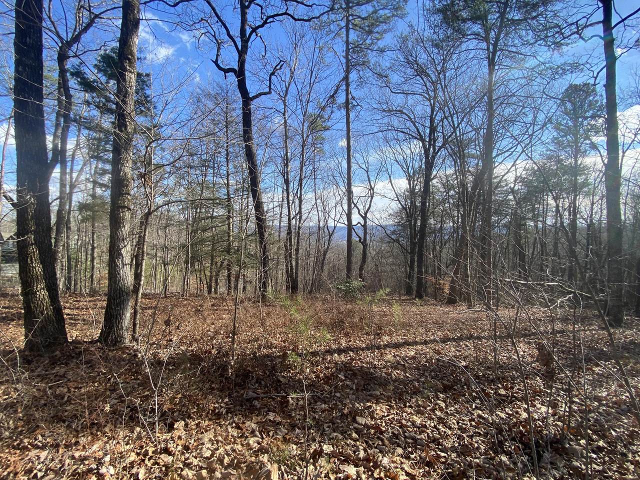 00 Bluff View #558 Drive - Photo 1