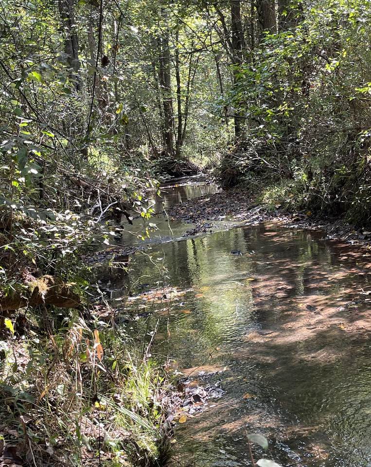 https://bt-photos.global.ssl.fastly.net/rivercounties/1280_boomver_1_20245156-2.jpg