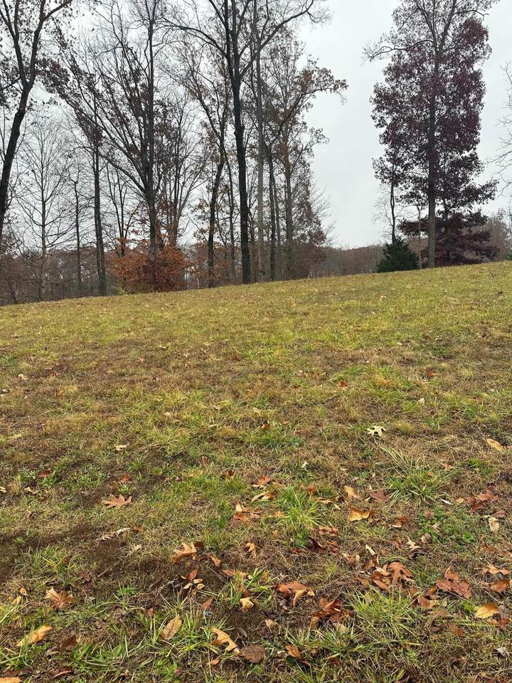 Lot 12 Ridge Park Drive - Photo 1