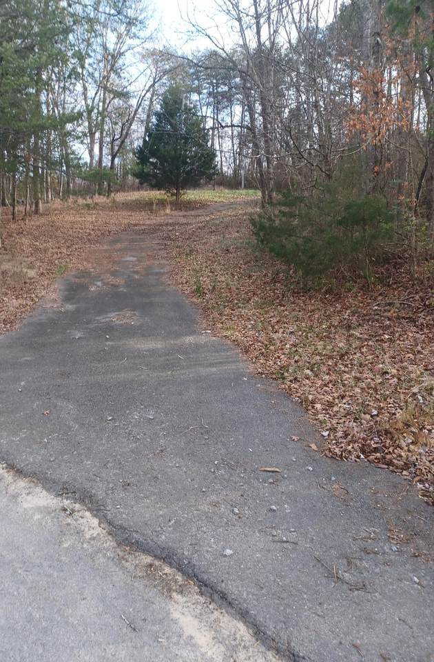 227 County Road 733 - Photo 1