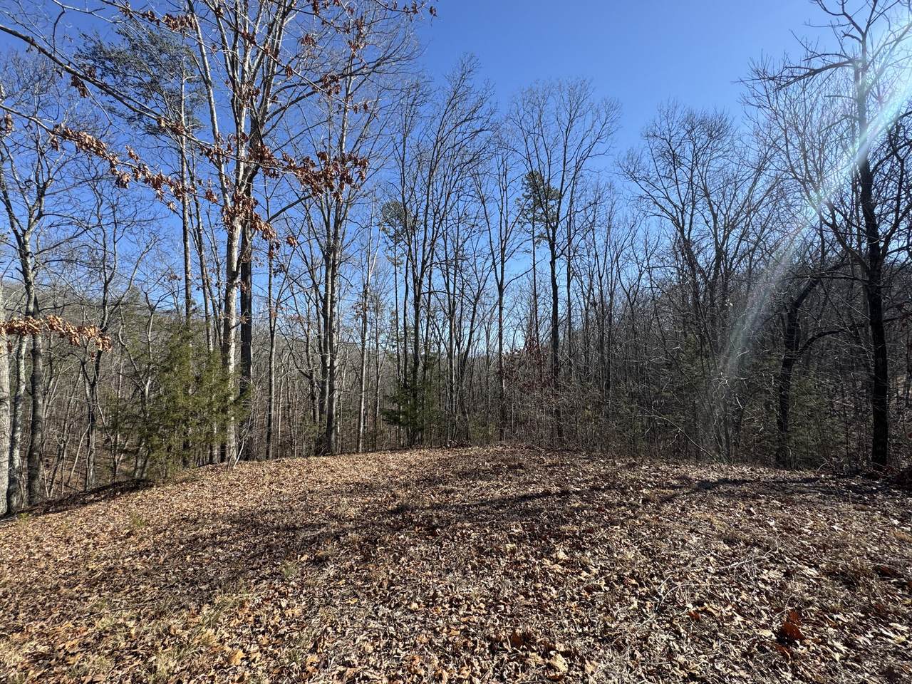 00 Fox Trail Drive - Photo 1