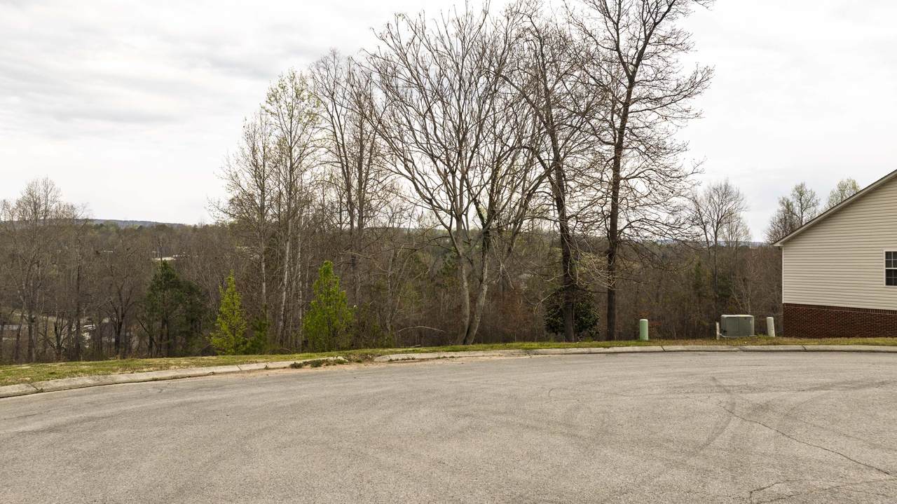 https://bt-photos.global.ssl.fastly.net/rivercounties/1280_boomver_1_20251360-2.jpg