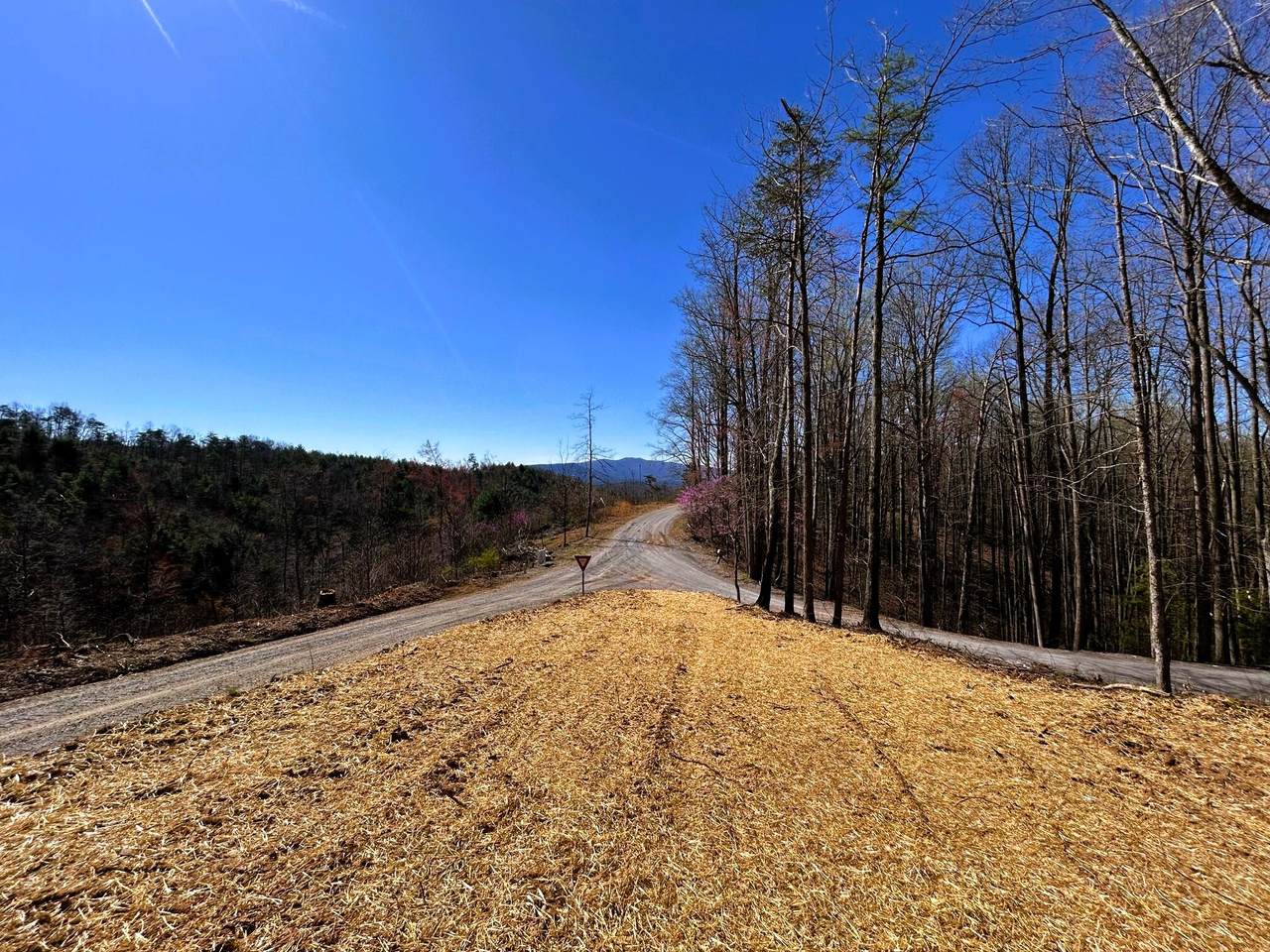 107 Chestnut Mountain Road - Photo 1