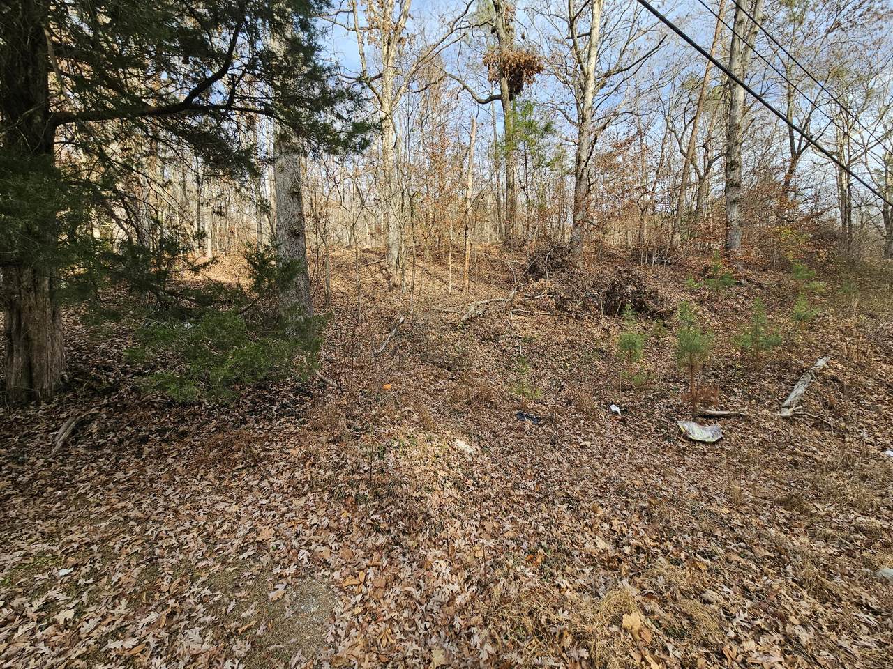 Lot 7 Smyrna Road - Photo 1
