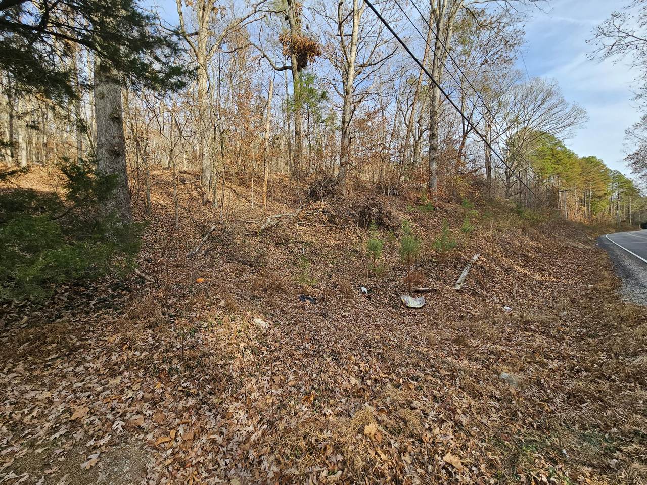 https://bt-photos.global.ssl.fastly.net/rivercounties/1280_boomver_1_20251532-2.jpg