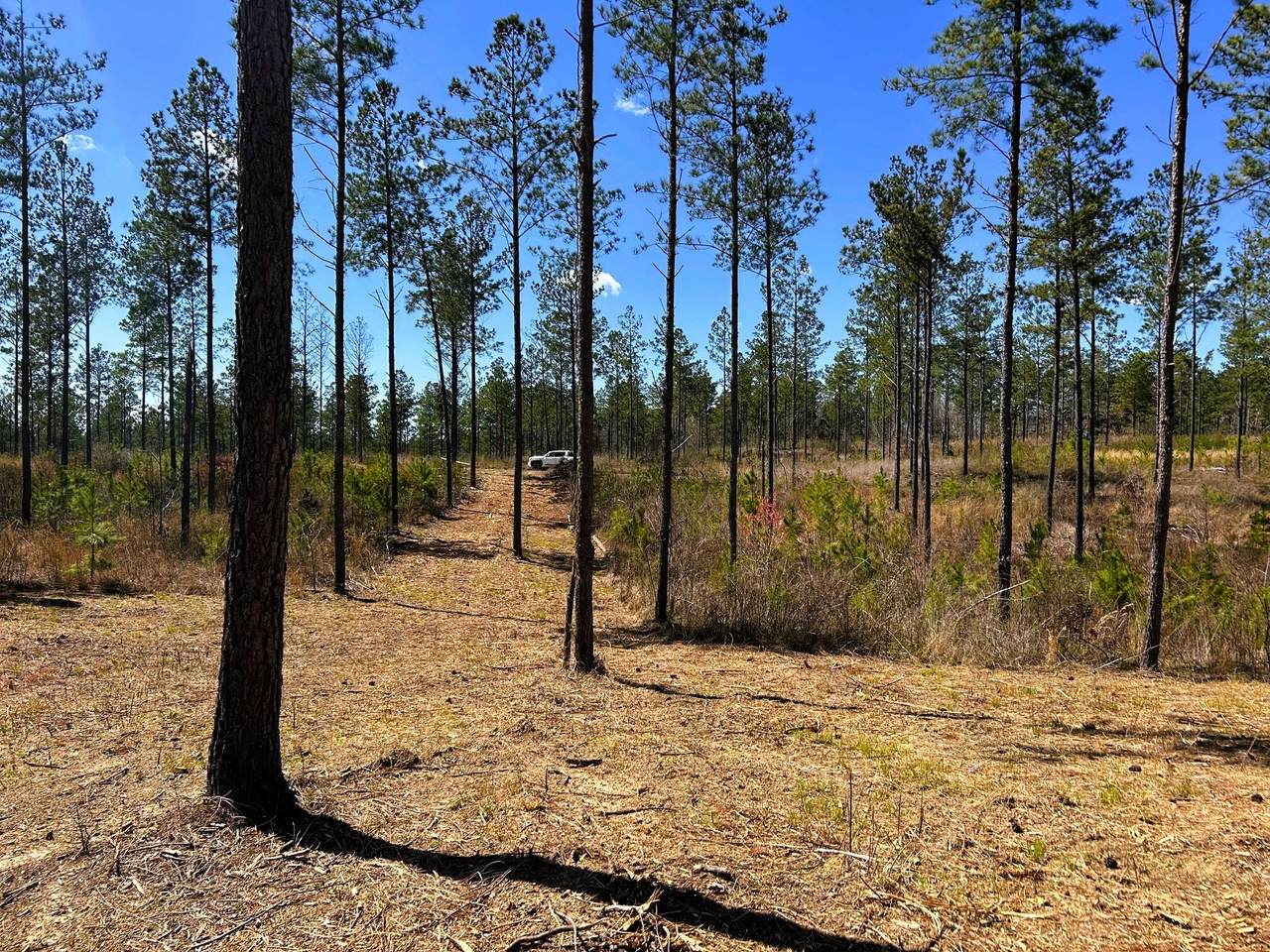 https://bt-photos.global.ssl.fastly.net/rivercounties/1280_boomver_1_20251592-2.jpg