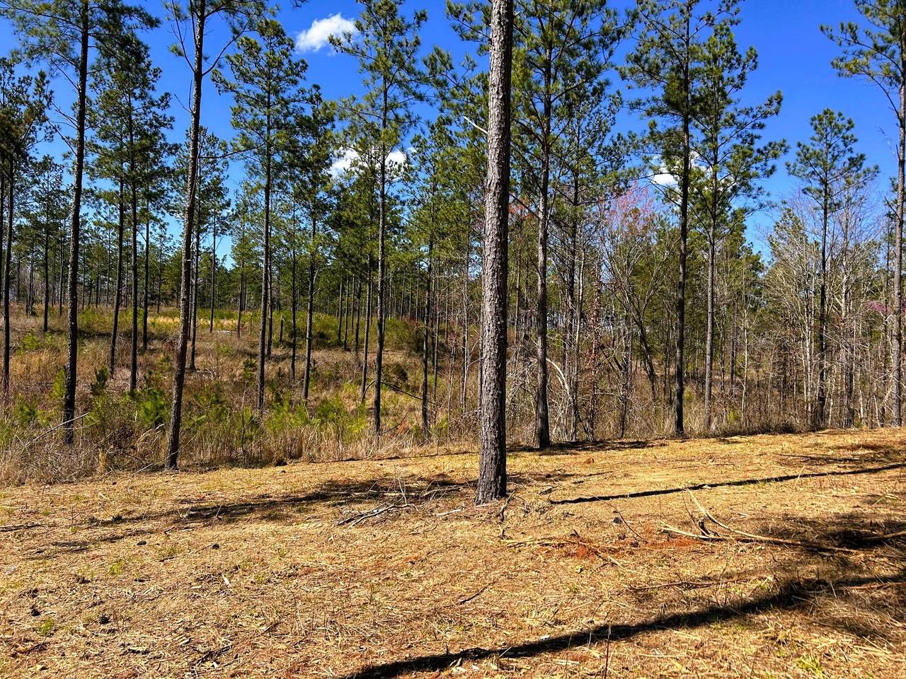 https://bt-photos.global.ssl.fastly.net/rivercounties/1280_boomver_1_20251592-2.jpg