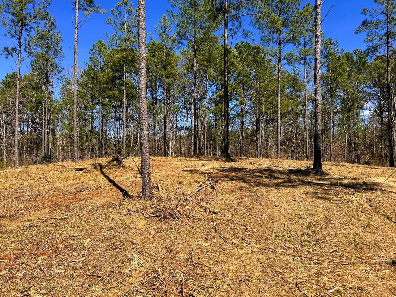 https://bt-photos.global.ssl.fastly.net/rivercounties/1280_boomver_1_20251592-2.jpg